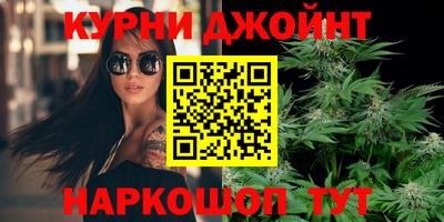 Альфа ПВП Дубна