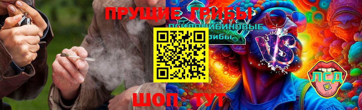 Галлюциногенные грибы мухоморы  Галлюциногенные грибы Cubensis  Мценск  Вход с VPN 